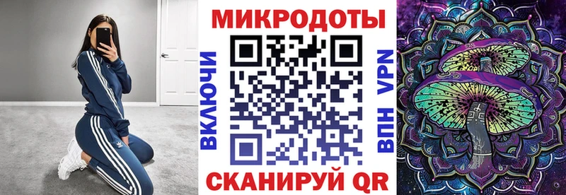 мориарти какой сайт Юрга Галлюциногенные грибы Psilocybine cubensis блэк спрут зеркало